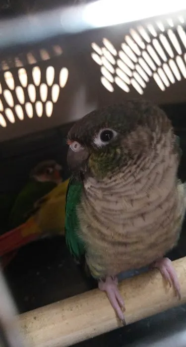 School Of Veterinary Medicine Picture 7