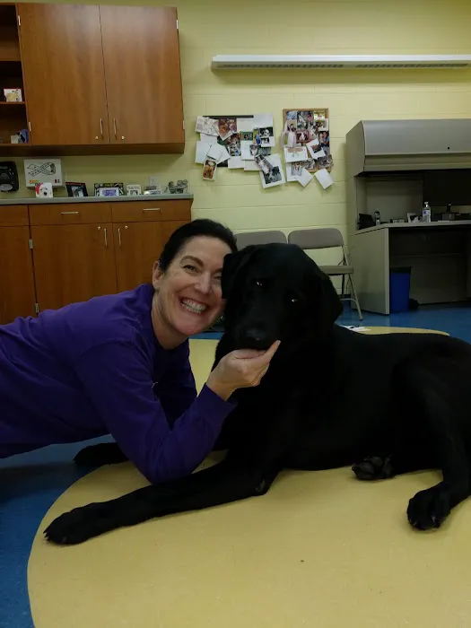 School Of Veterinary Medicine Picture 4