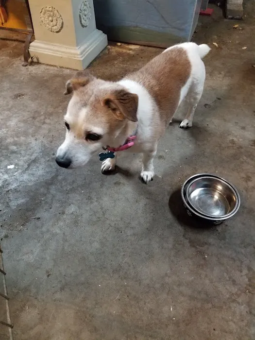 School Of Veterinary Medicine Picture 10