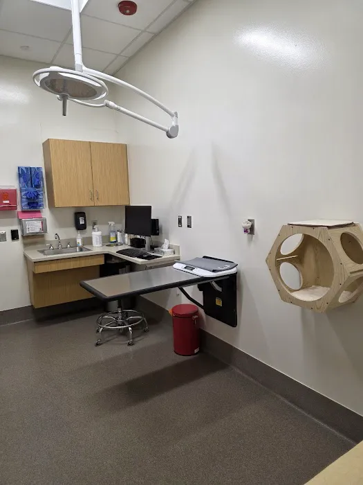 UW Veterinary Medical Center Picture 4