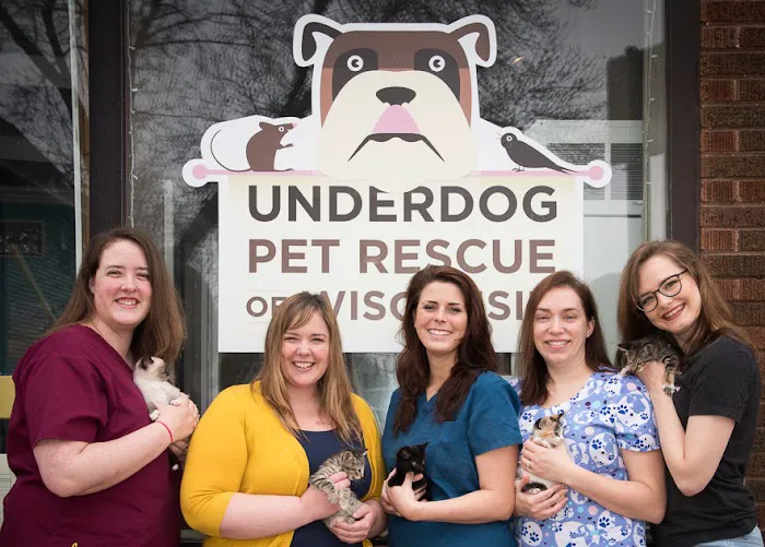 Underdog Veterinary Services Picture 7