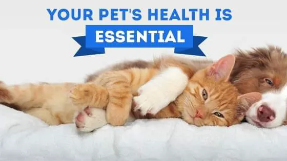 Monona Veterinary Clinic Picture 3