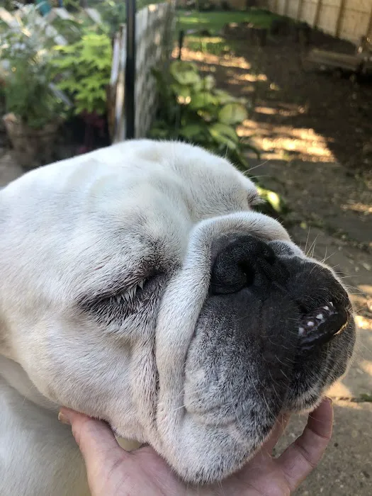 Four Lakes Veterinary Clinic Picture 2