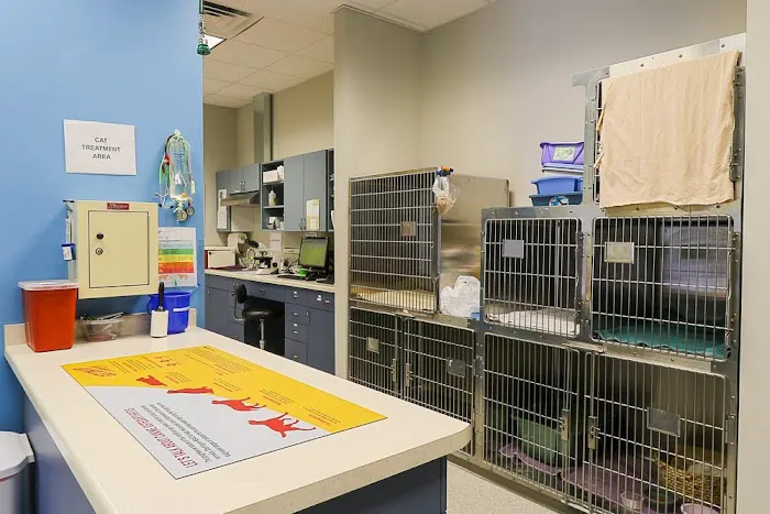 Four Lakes Veterinary Clinic Picture 3