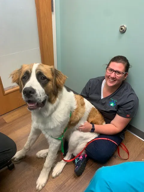 Four Lakes Veterinary Clinic Picture 4