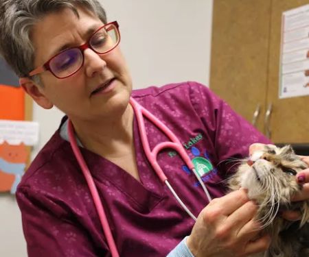 Four Lakes Veterinary Clinic