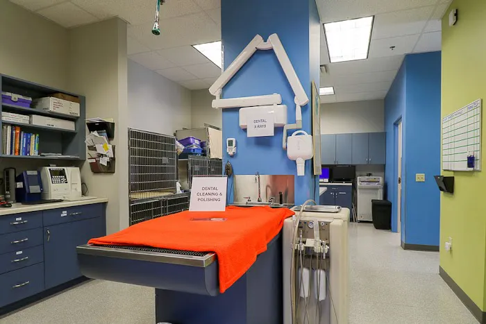 Four Lakes Veterinary Clinic Picture 6