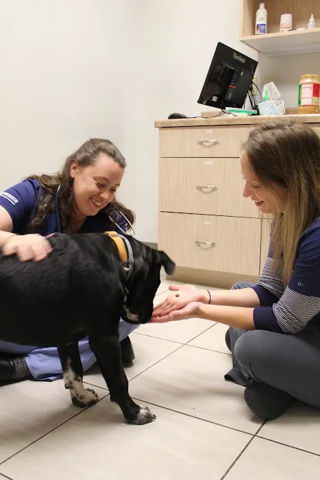 Four Lakes Veterinary Clinic Picture 8