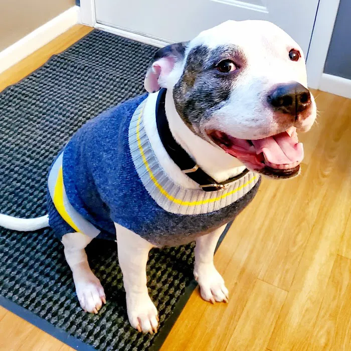 Eastside Veterinary Clinic Picture 6