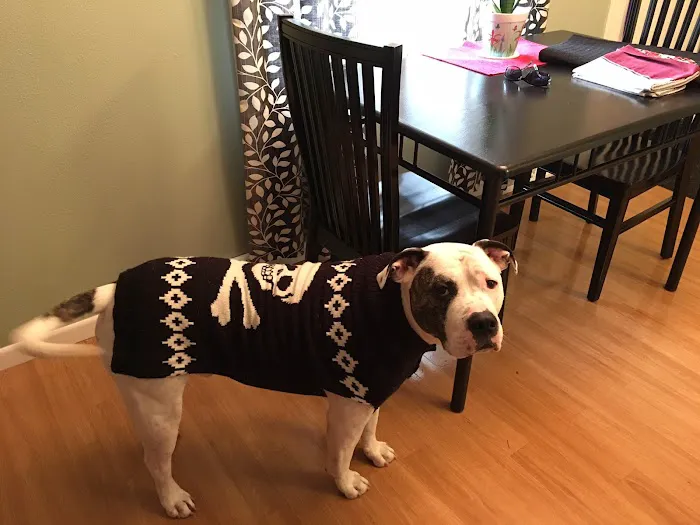 Eastside Veterinary Clinic Picture 2