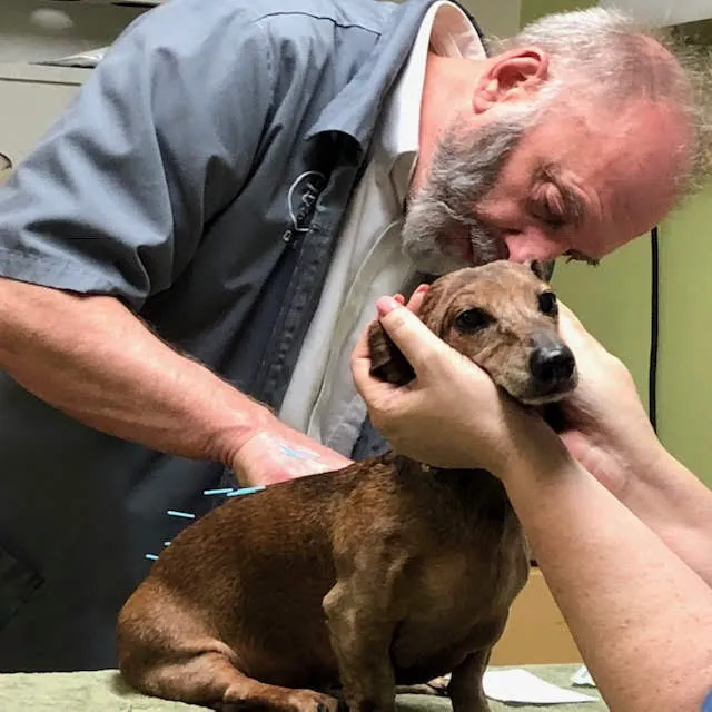 Eastside Veterinary Clinic Picture 5