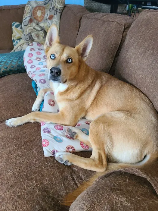 Wisconsin Community Veterinary Center Picture 5