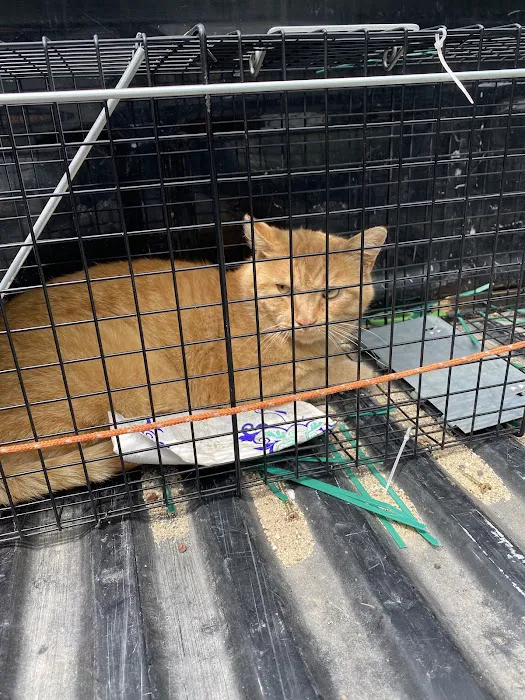 Wisconsin Community Veterinary Center Picture 9