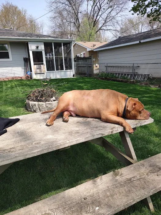 Wisconsin Community Veterinary Center Picture 7