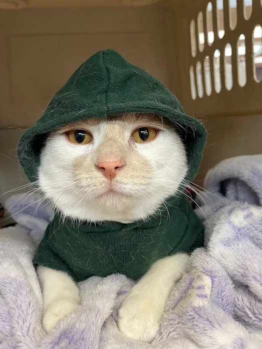 Wisconsin Community Veterinary Center Picture 10