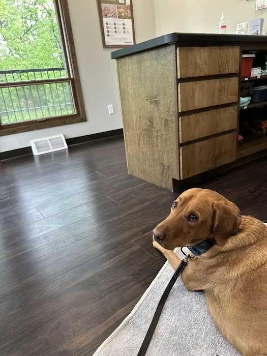 Holistic Veterinary Options Picture 2