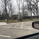 Holistic Veterinary Options