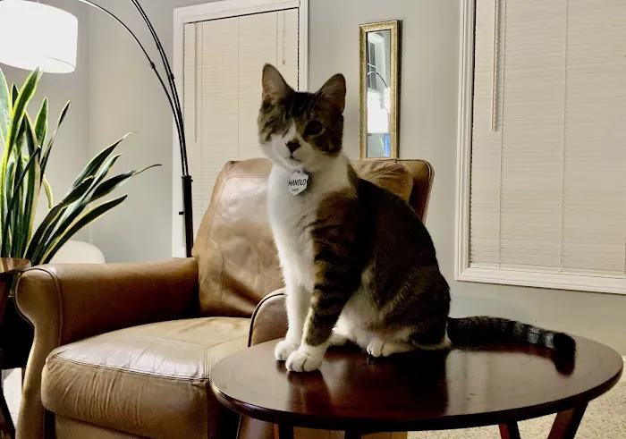 Petinary Clinic Picture 1