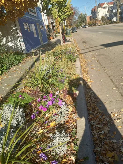 Petinary Clinic Picture 4