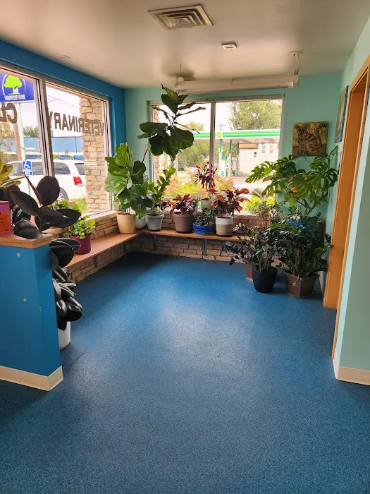 Community Care Veterinary Clinic Picture 2