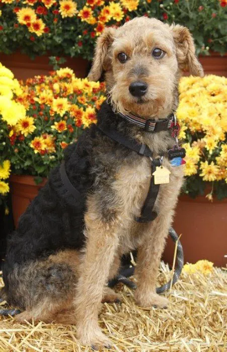 Community Care Veterinary Clinic Picture 3