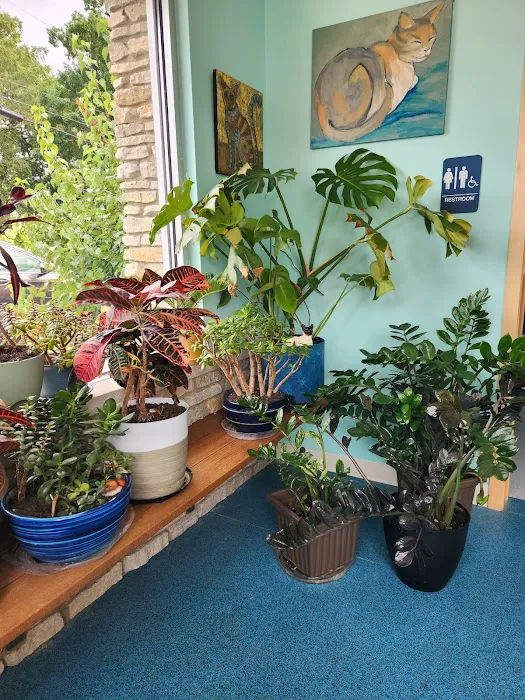 Community Care Veterinary Clinic Picture 5