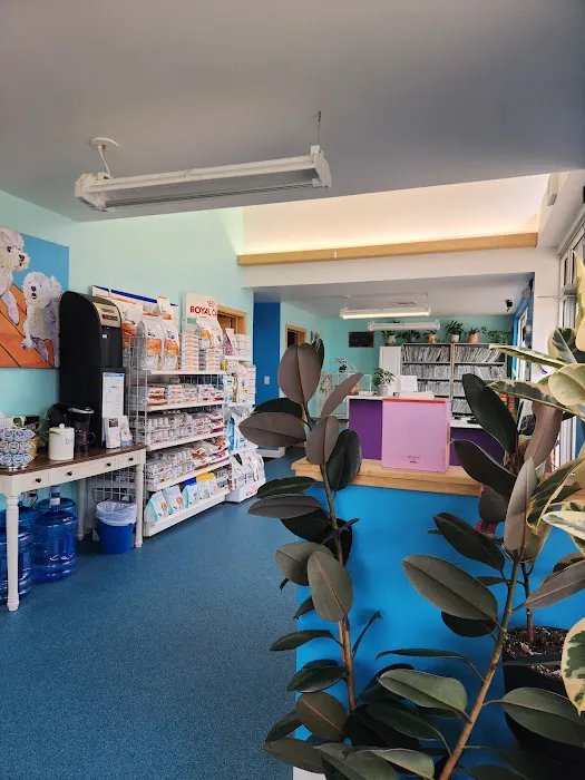 Community Care Veterinary Clinic Picture 4