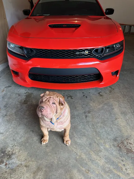 Community Care Veterinary Clinic Picture 8