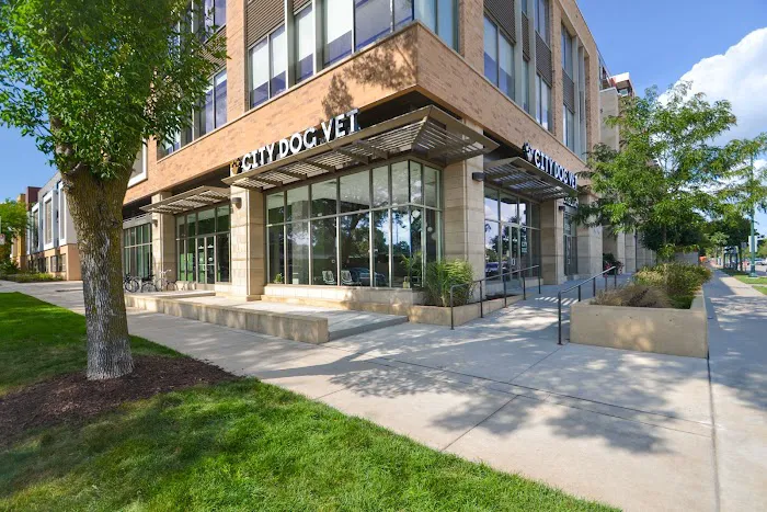 City Dog Vet Picture 1