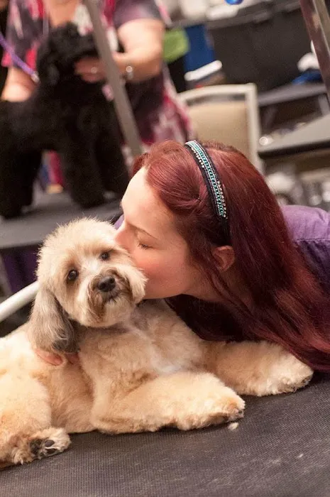 City Dog Vet Picture 4