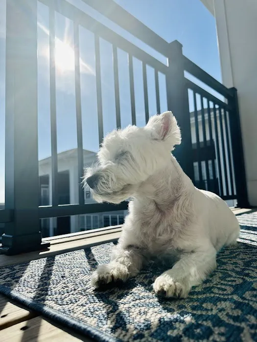 Elmbrook Veterinary Clinic Picture 2