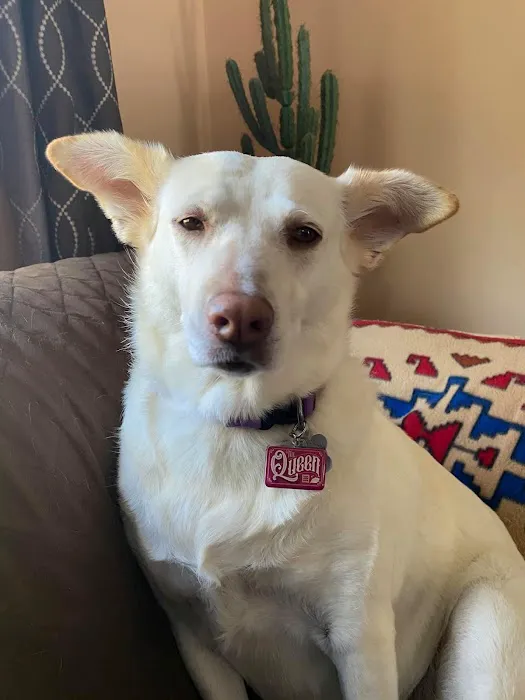 Elmbrook Veterinary Clinic Picture 1