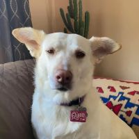 Elmbrook Veterinary Clinic ico