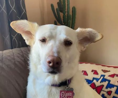 Elmbrook Veterinary Clinic