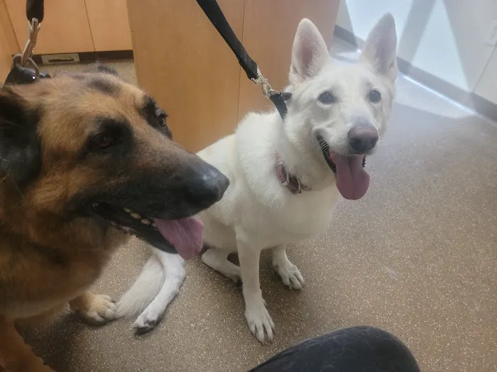 Elmbrook Veterinary Clinic Picture 3