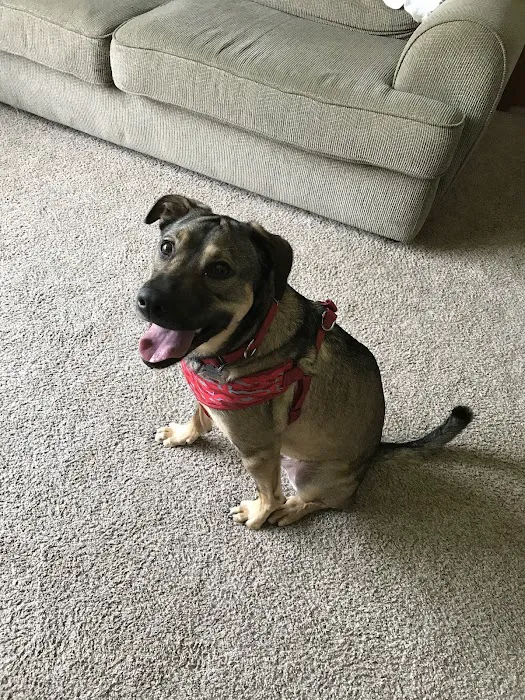 Elmbrook Veterinary Clinic Picture 5