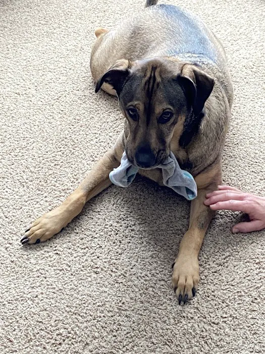 Elmbrook Veterinary Clinic Picture 4