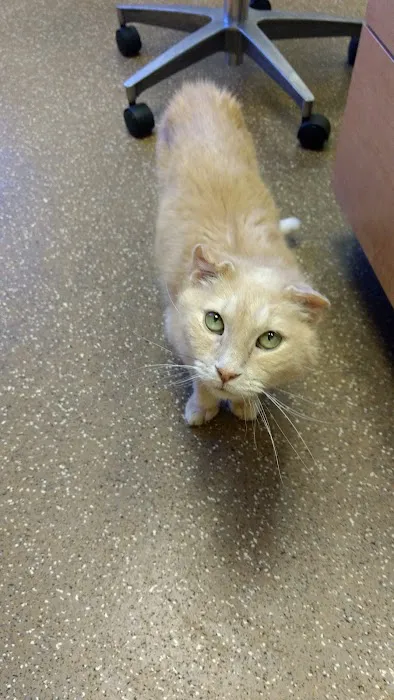 Elmbrook Veterinary Clinic Picture 6