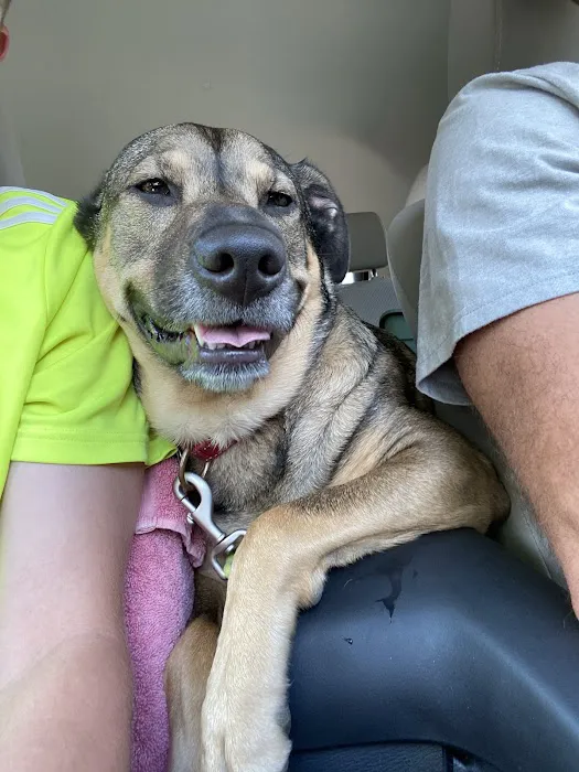 Elmbrook Veterinary Clinic Picture 7