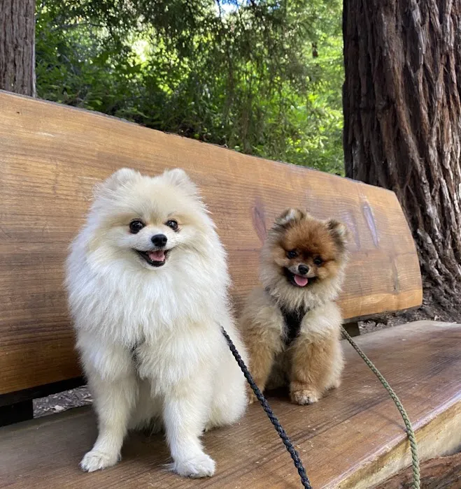 Elmbrook Veterinary Clinic Picture 8