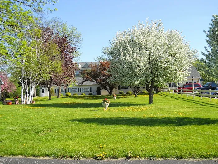 Bluemound Animal Hospital Picture 1