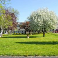 Bluemound Animal Hospital ico