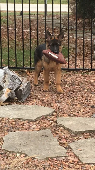 Bluemound Animal Hospital Picture 2