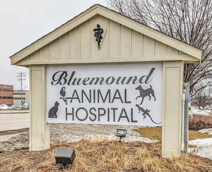 Bluemound Animal Hospital Picture 5