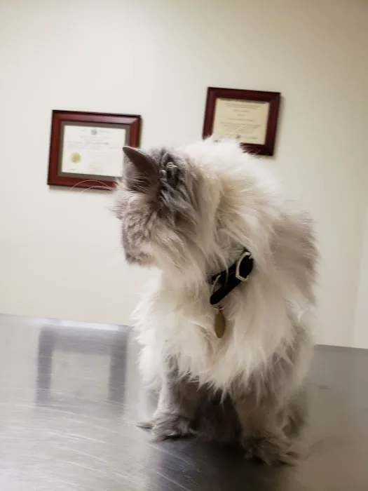 Bluemound Animal Hospital Picture 3