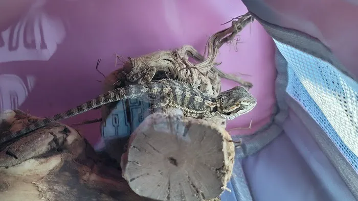 Bluemound Animal Hospital Picture 8