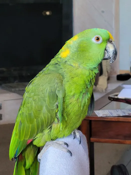 Bluemound Animal Hospital Picture 9