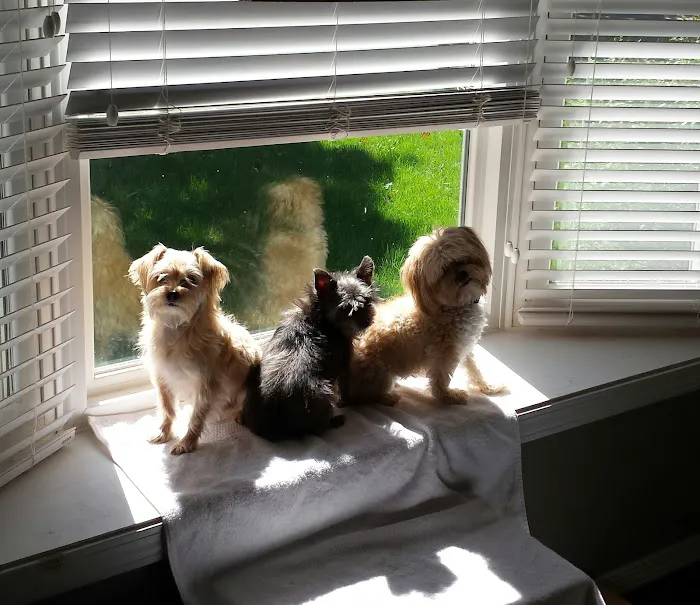 Bluemound Animal Hospital Picture 7