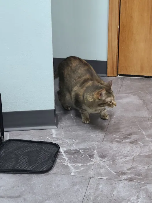 Milwaukee Animal Hospital Picture 3