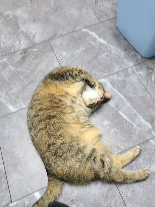 Milwaukee Animal Hospital Picture 2